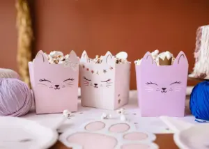 pudełka na popcorn kotki