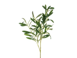 Gałązka oliwna 91cm