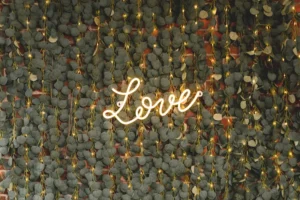 Girlanda Eukaliptus - LED 2 m