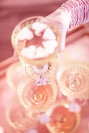 Znaczniki na kieliszki Pierścionki 4x6.5 cm (1 op. : 10 szt.)