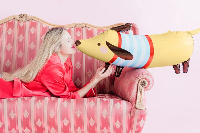 Balon foliowy Jamnik, 96x58 cm