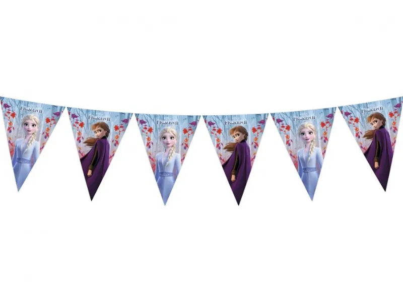 Banner Frozen 9 flag 230 cm