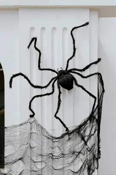 Dekoracja Pająk czarny 103x75x9 cm