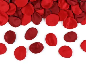 Płatki róż w woreczku (1 op. : 100 sztuk