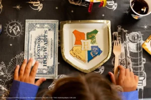 Talerzyki Harry Potter Herb Hogwartu 26x18 cm beż